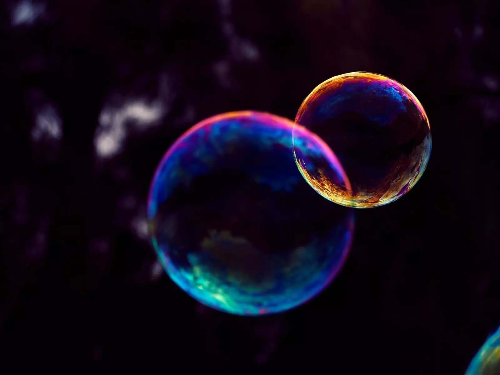 How to trigger a Bubble backend workflow when a website changes